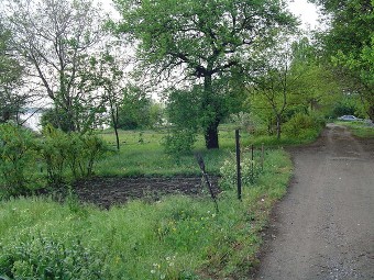 берег Днепра