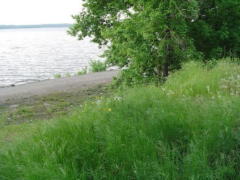 берег Днепра