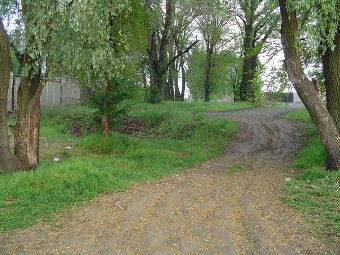 берег Днепра