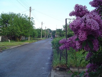 улица Болотникова