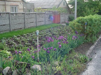 улица Болотникова