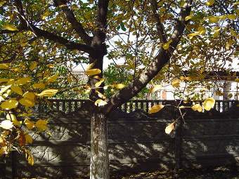 улица Болотникова