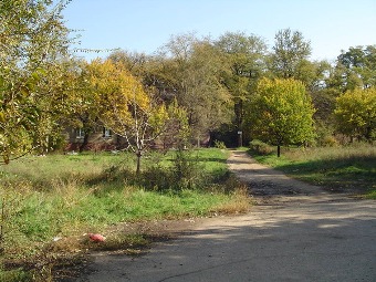 улица Гончара