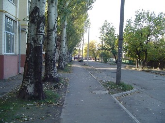 улица Гончара