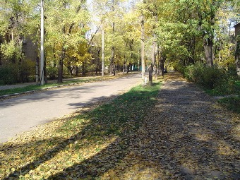 улица Гончара