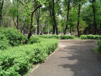 улица Лизы Чайкиной