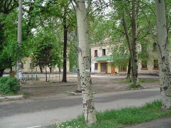 улица Лизы Чайкиной