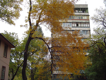 улица Павлокичкасная