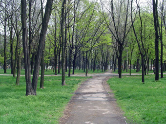 Парк 30лет Победы