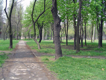 Парк 30лет Победы