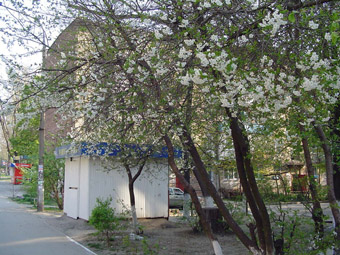 улица Союзная