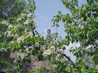 улица Вроцлавская