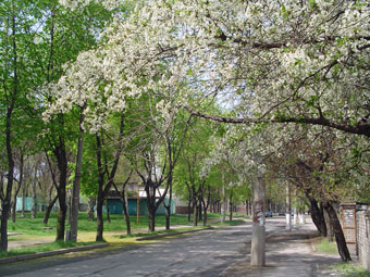 улица Вроцлавская